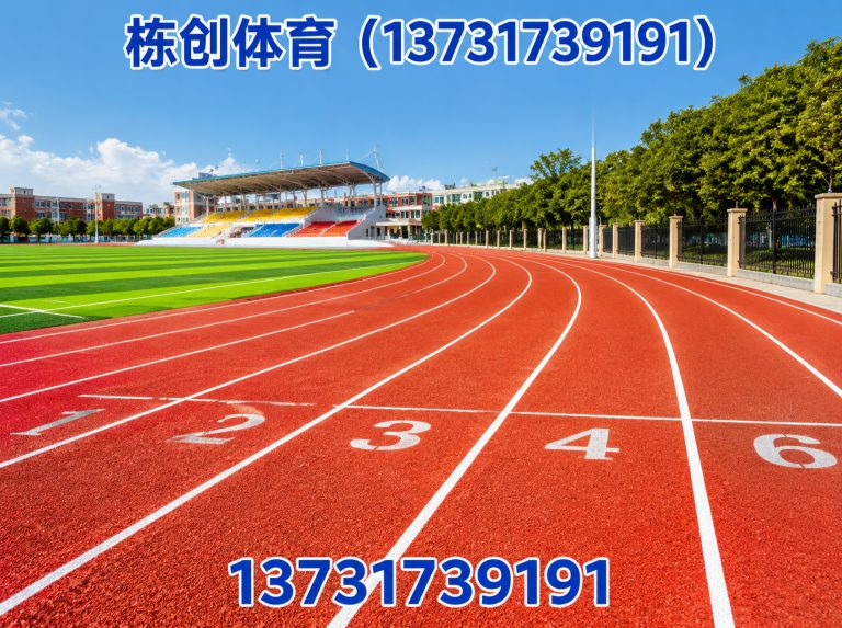 沧县栋创体育展示图